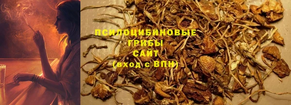 ГАЛЛЮЦИНОГЕННЫЕ ГРИБЫ Абинск