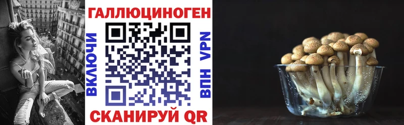 Псилоцибиновые грибы Psilocybe  Красково 